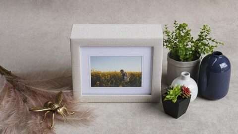 Reveal-Folio-Box-Gallery-3