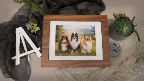 Signature-Rosewood-Box-01