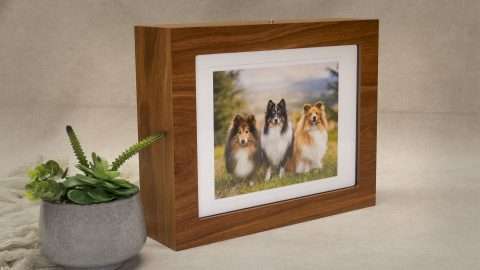 Signature-Rosewood-Box-07