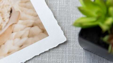 Hahnemuhle-Photo-Rag-Torn-Edge-With-Border-Close-Up.jpg