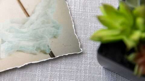 Hahnemuhle-Photo-Rag-Torn-Edge-Close-Up.jpg